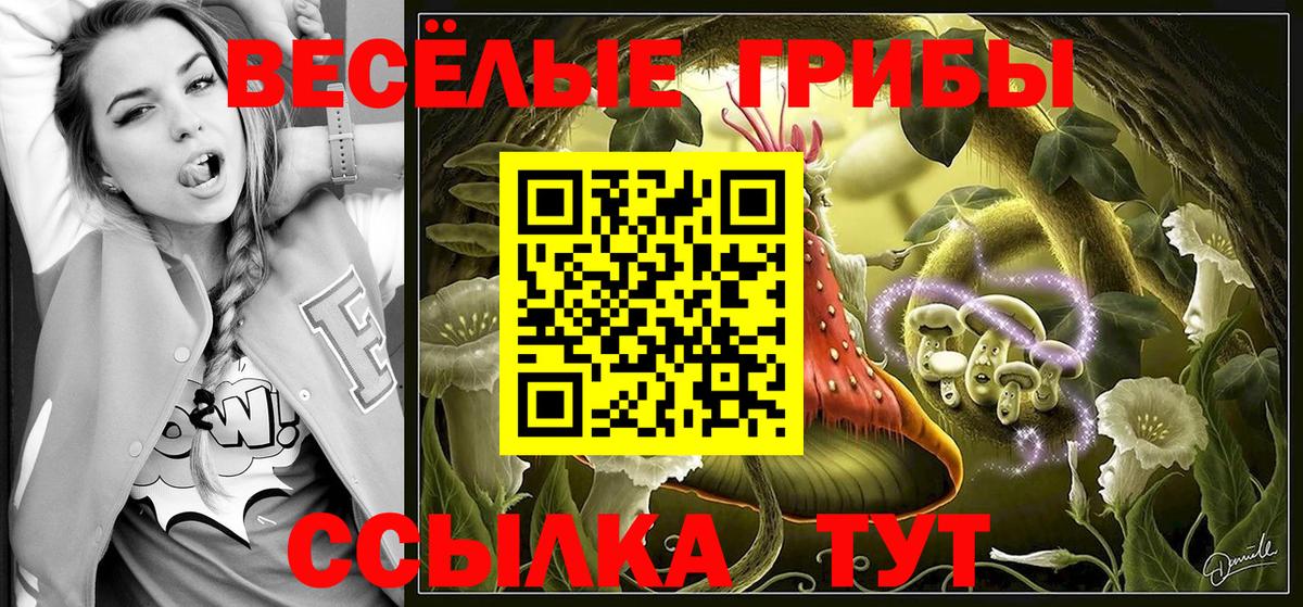 Галлюциногенные грибы MAGIC MUSHROOMS  Вход с VPN  Канаш 
